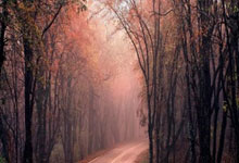 壹号娱乐官网:米克尔:当年弗格森单独对话没说服我 切尔西赔了曼联1300万镑.