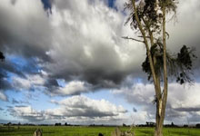 壹号娱乐官网:周鹏:对山东外线的防守是胜负手,希望球队努力冲击季后赛.