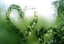 国足曝出重要计划:中国足协做出英明决策,球迷齐声点赞.