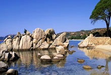 埃迪25+12灰熊再负篮网 小萨绝杀国王险胜热火.